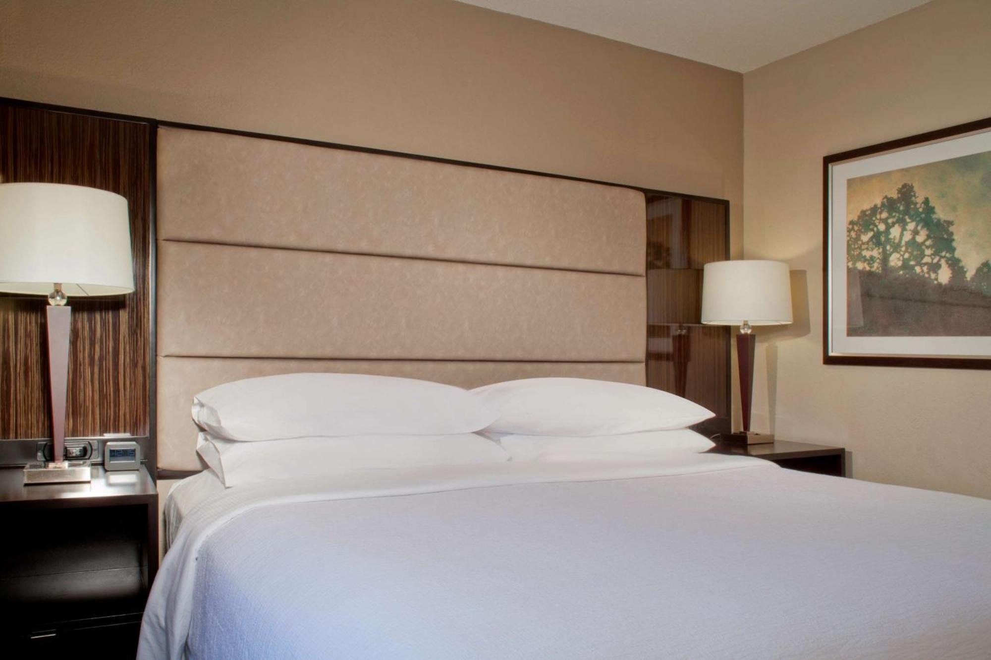 Embassy Suites By Hilton Houston Near The Galleria Kültér fotó